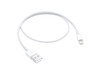 Apple Lightning auf USB Kabel (0,5 m)